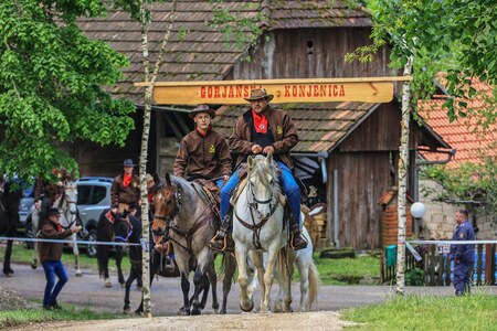 Foto: Goran Rovan, Gorjanska konjenica